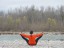 Ammessa  Autore: CLAUDIA GRILLO   Titolo: Acqua come meditazione yoga a Covolo di Piave